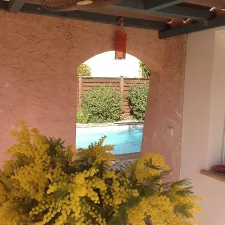 Rez De Jardin Sur Mer.