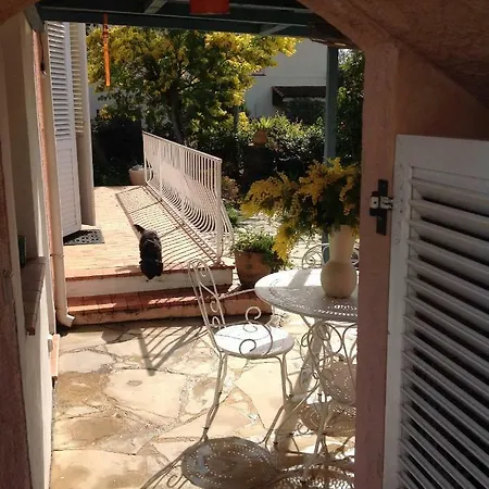 Rez De Jardin Sur Mer.